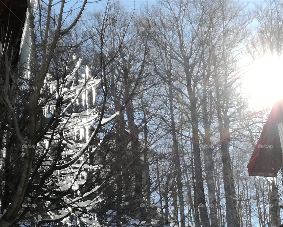 The sun is trying to melt the ice