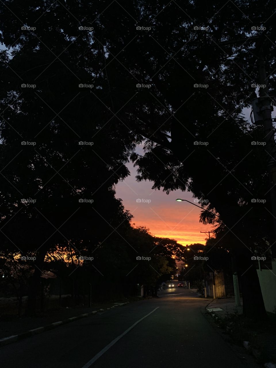 Fim de tarde 🧡