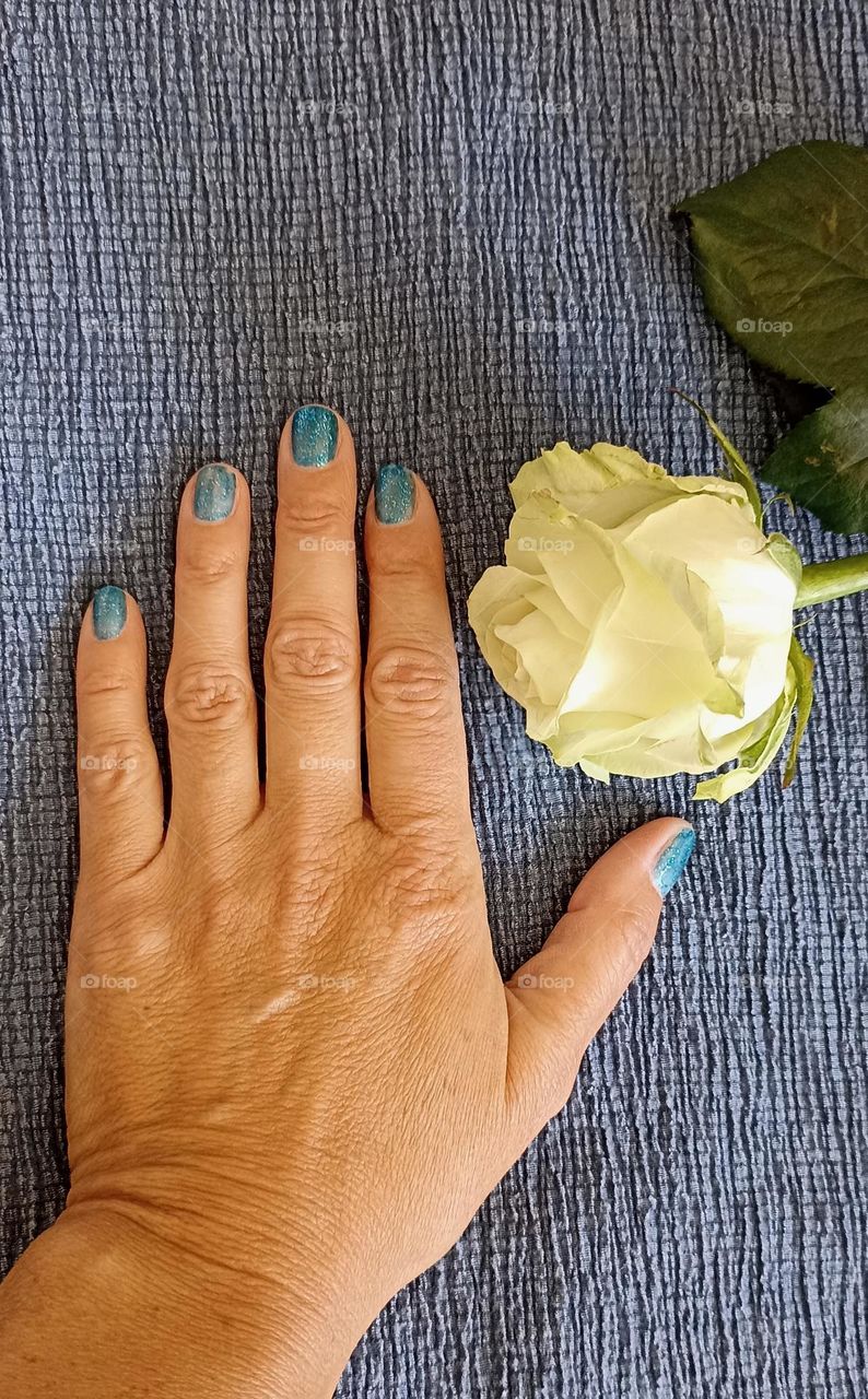 white flower and female hand