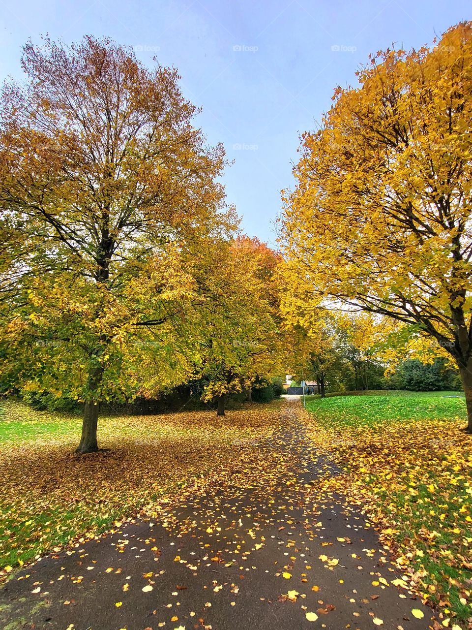 Herbst ist schön und bunt