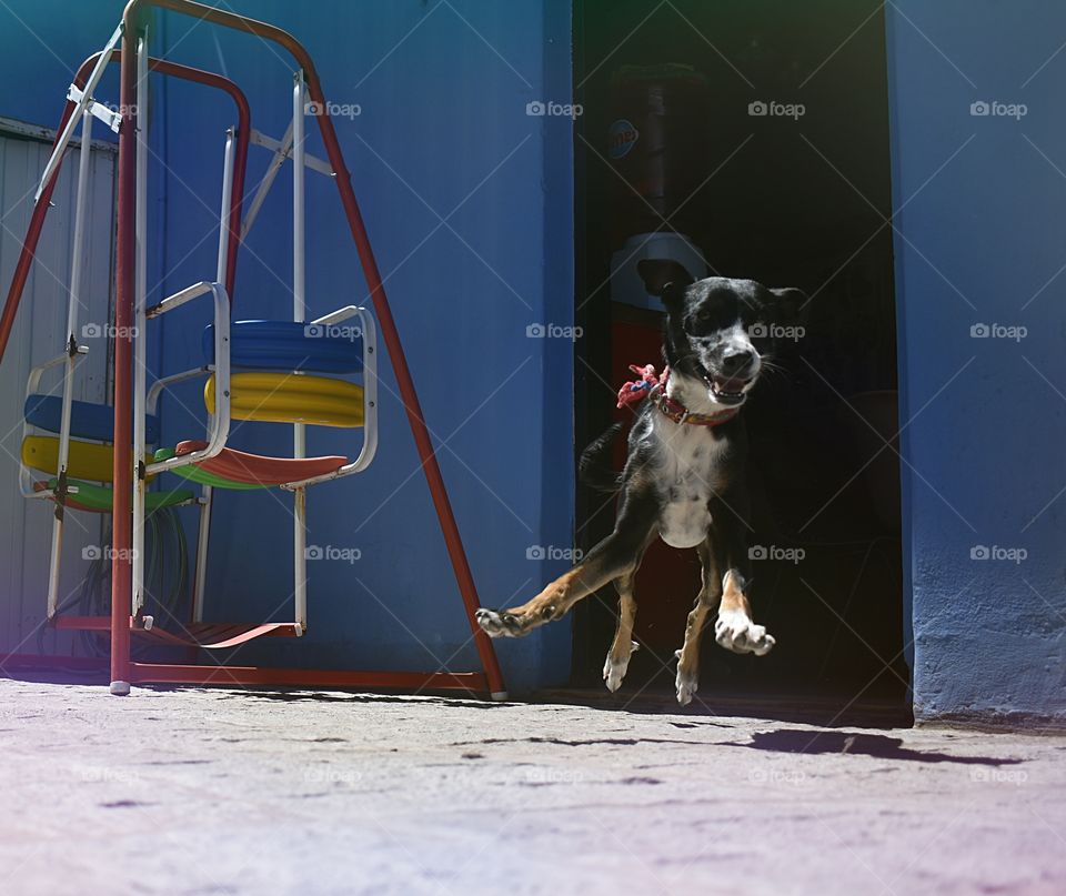 Congelando el movimiento .Foto tomada con Nikon D3500