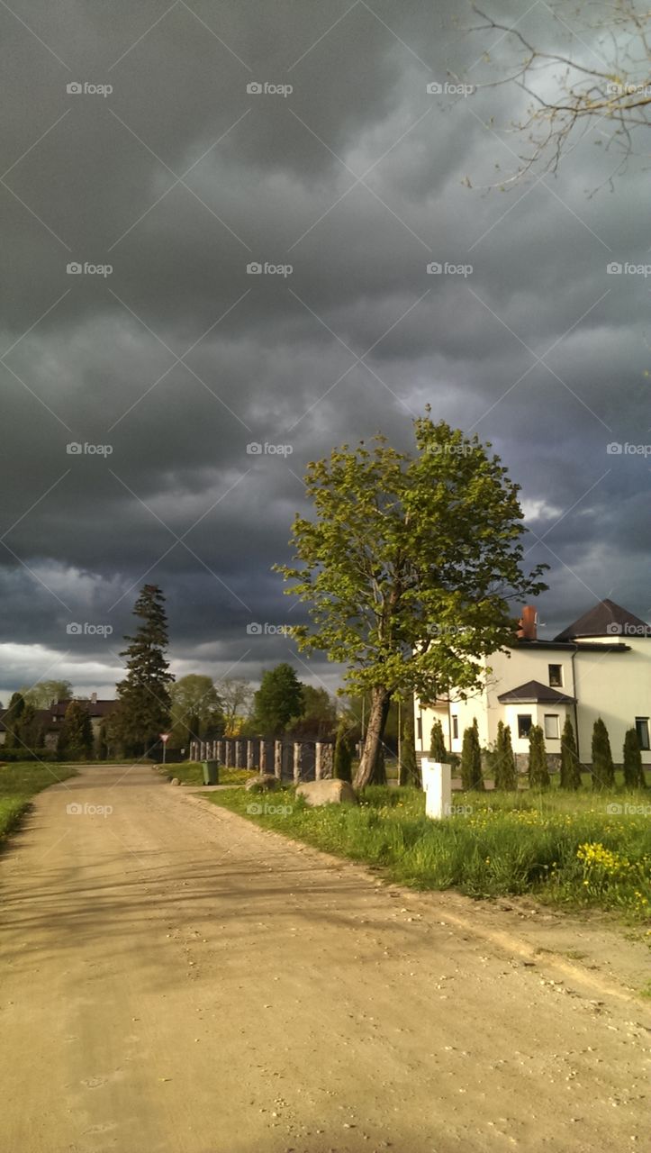 weather in summer day