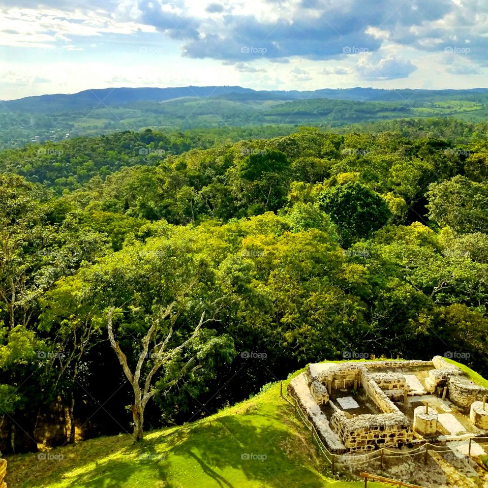 The view from the top of the largest Mayan temple in Belize