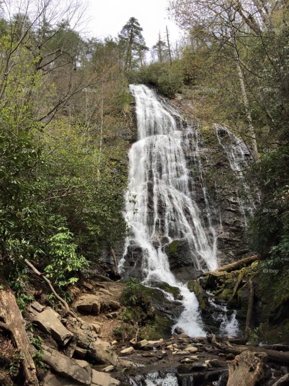 One of the many waterfalls in the Great Smoky Mountains , Tennessee .