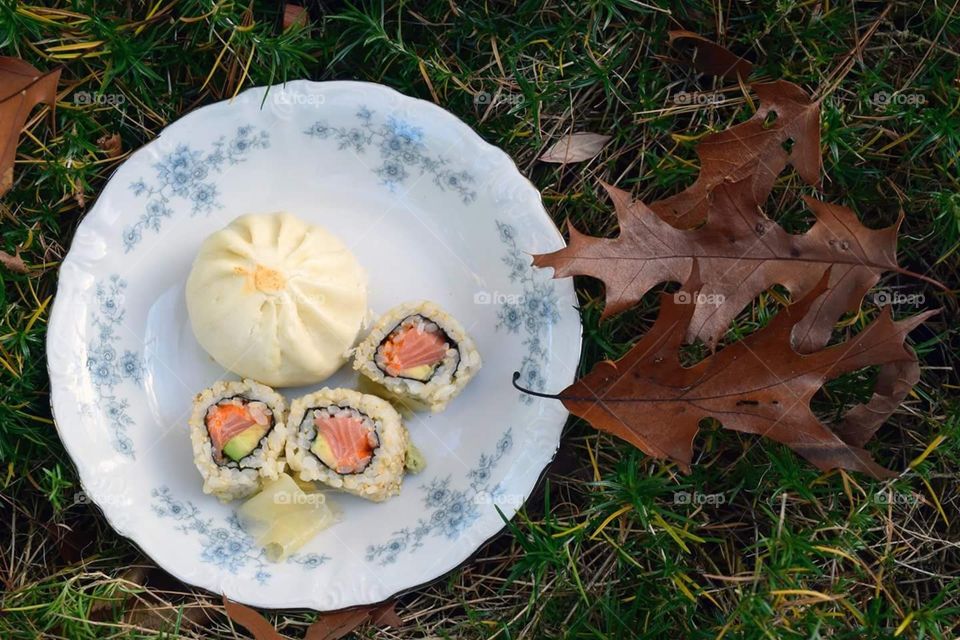 dumplings sushi on China in fall