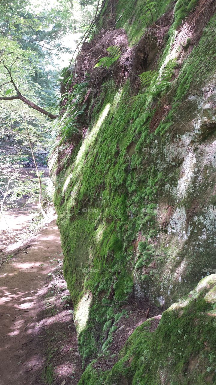 Mossy Rock