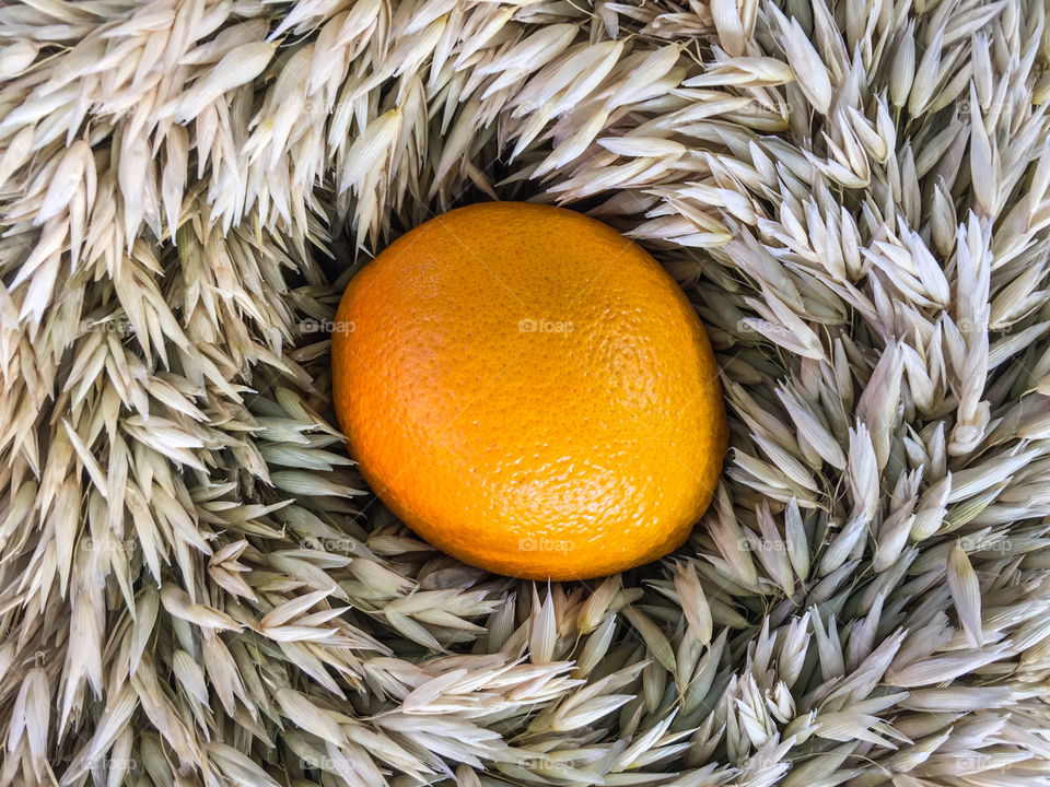 Orange on ears of grain