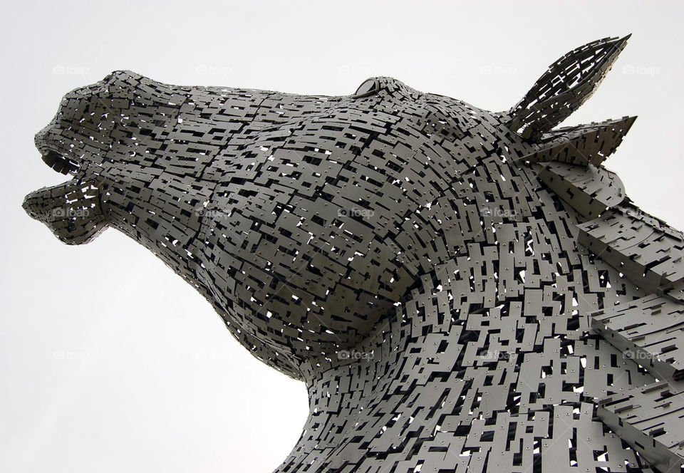 100 foot Kelpie