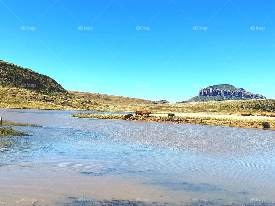 Beautiful autumn landscape