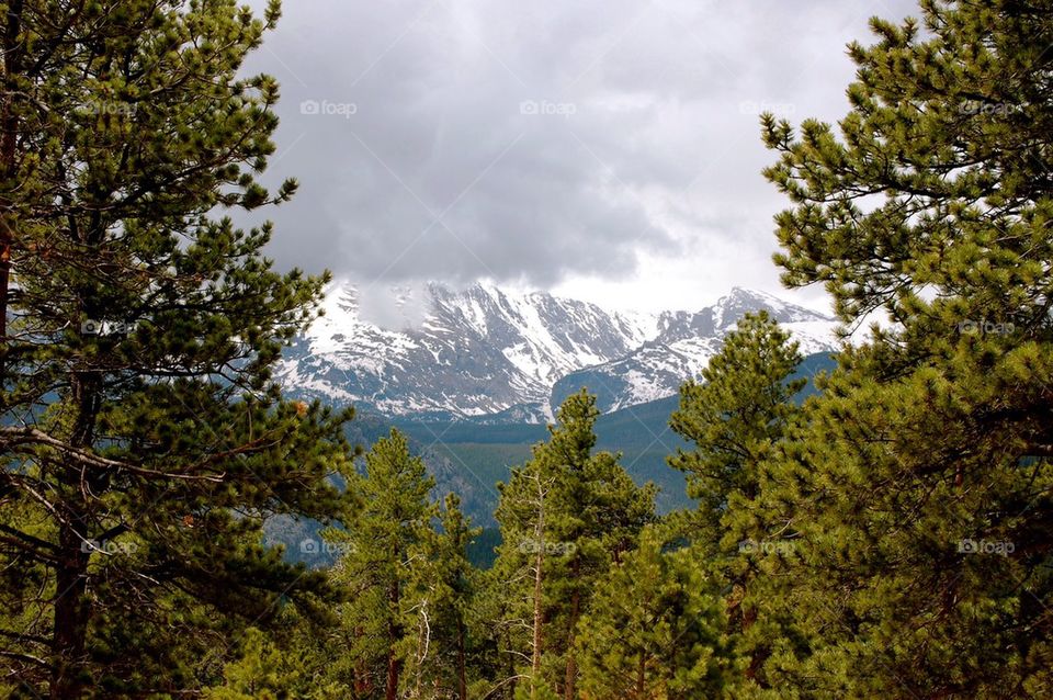 RMNP