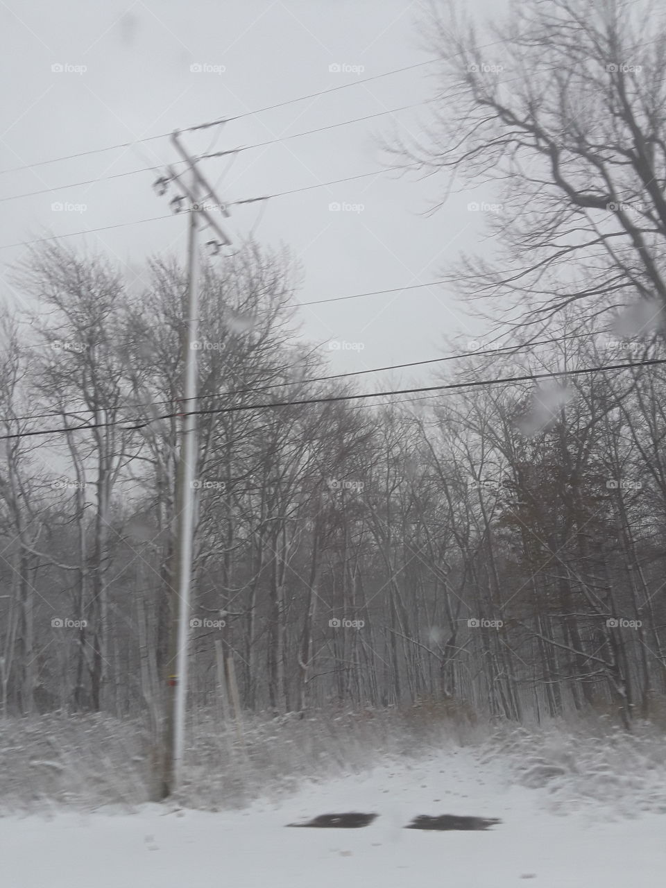 snowy telephone pole