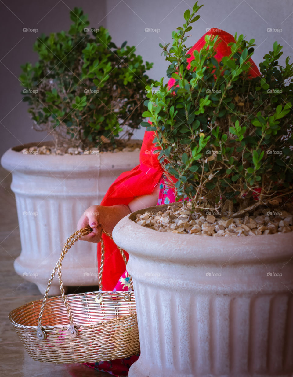 My little Red Riding Hood, hiding behind the bush.