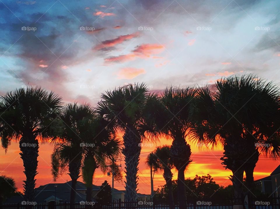 Florida sunset 2