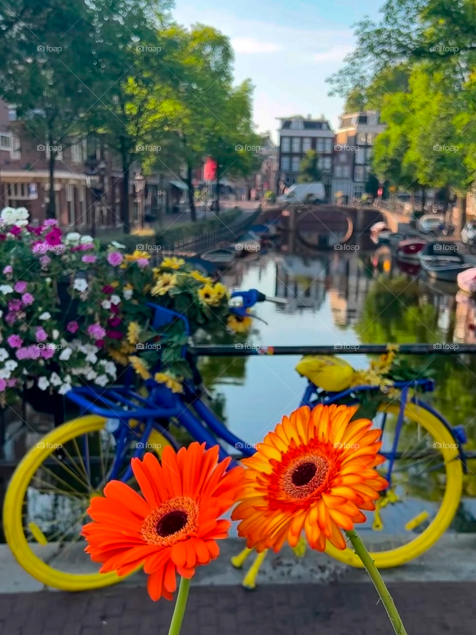 I choose colors...❤️💛💜💙💚