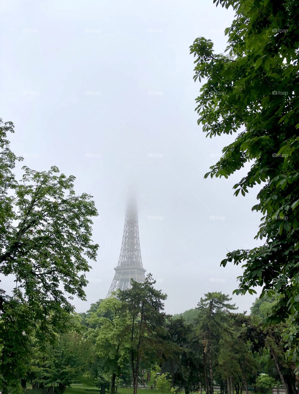 Eifell tower fog