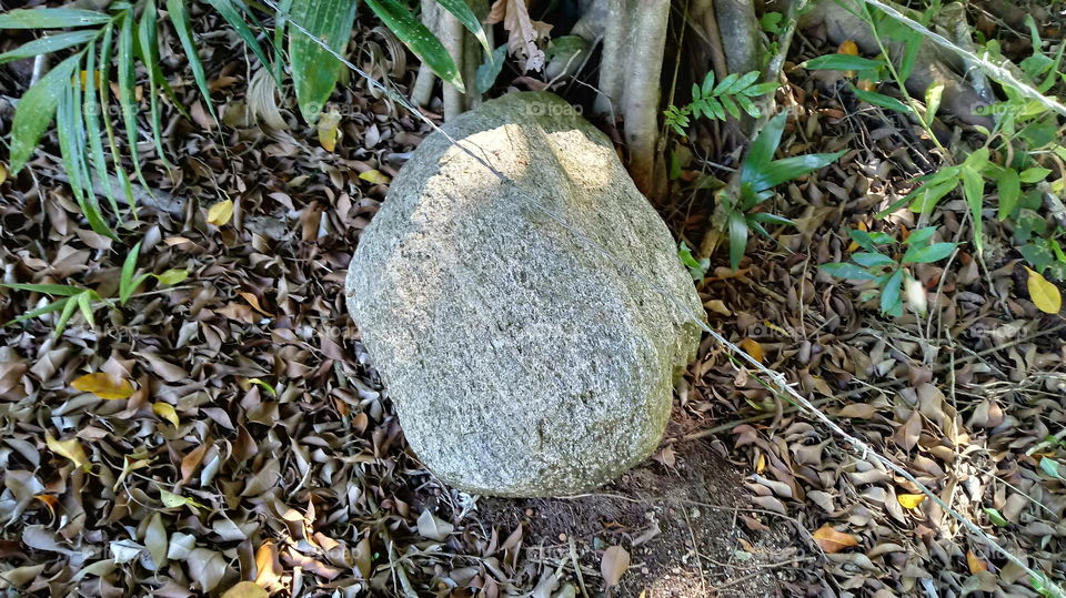 PEDRA NO JARDIM