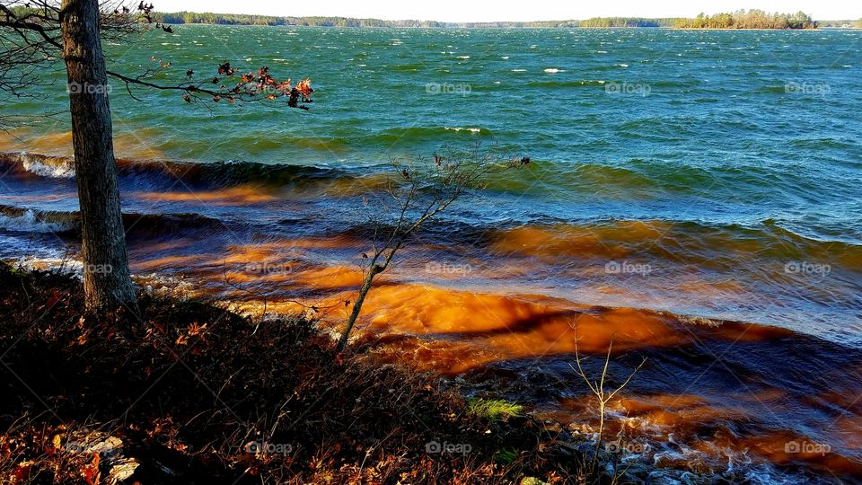 waves on lake sho