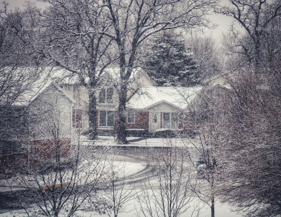 street, trees and houses covered with snow