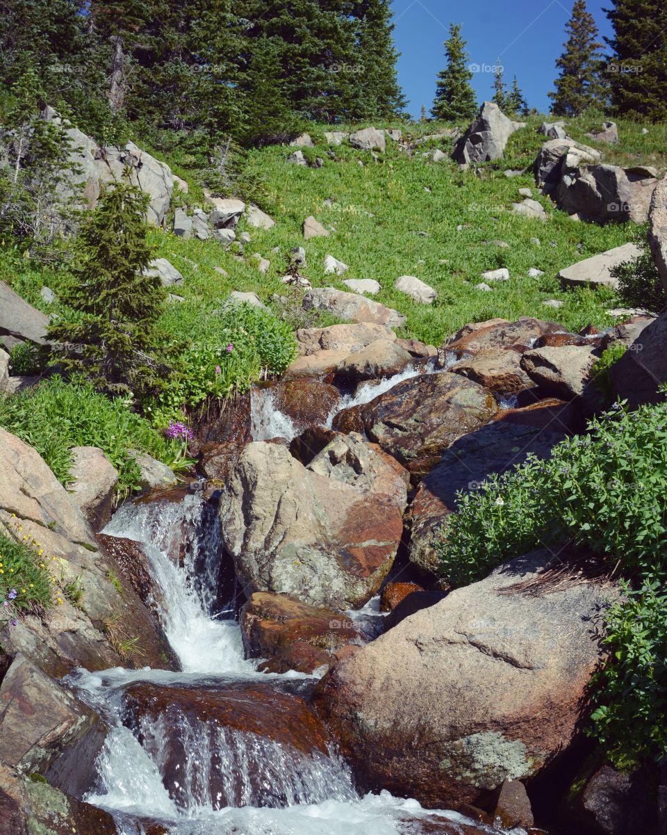 Mountain stream