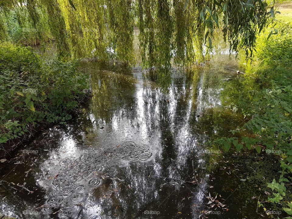 Reflection on the water