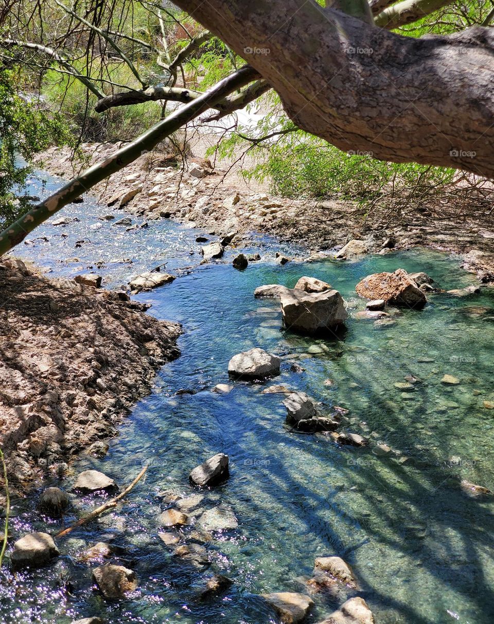 Arizona Creek on a Spring Day