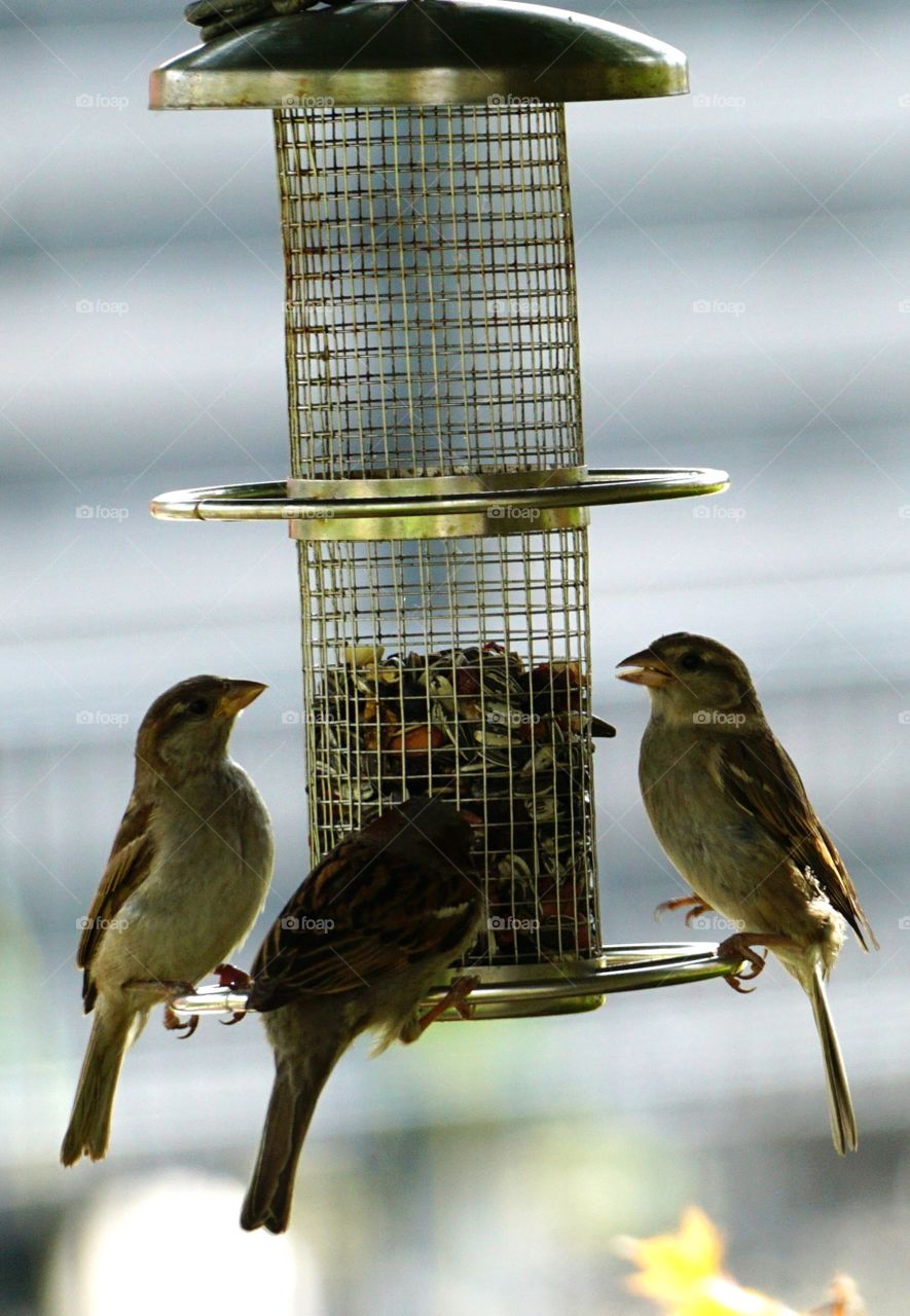 Every Day the same time