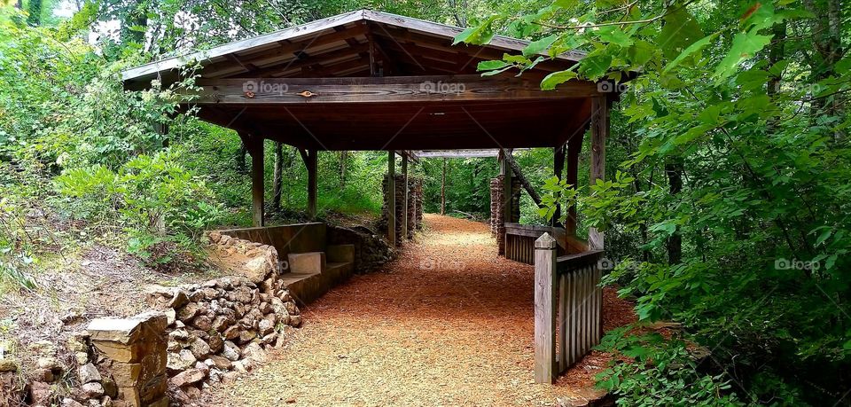 along the rim trail at Tallulah gorge state park, Georgia