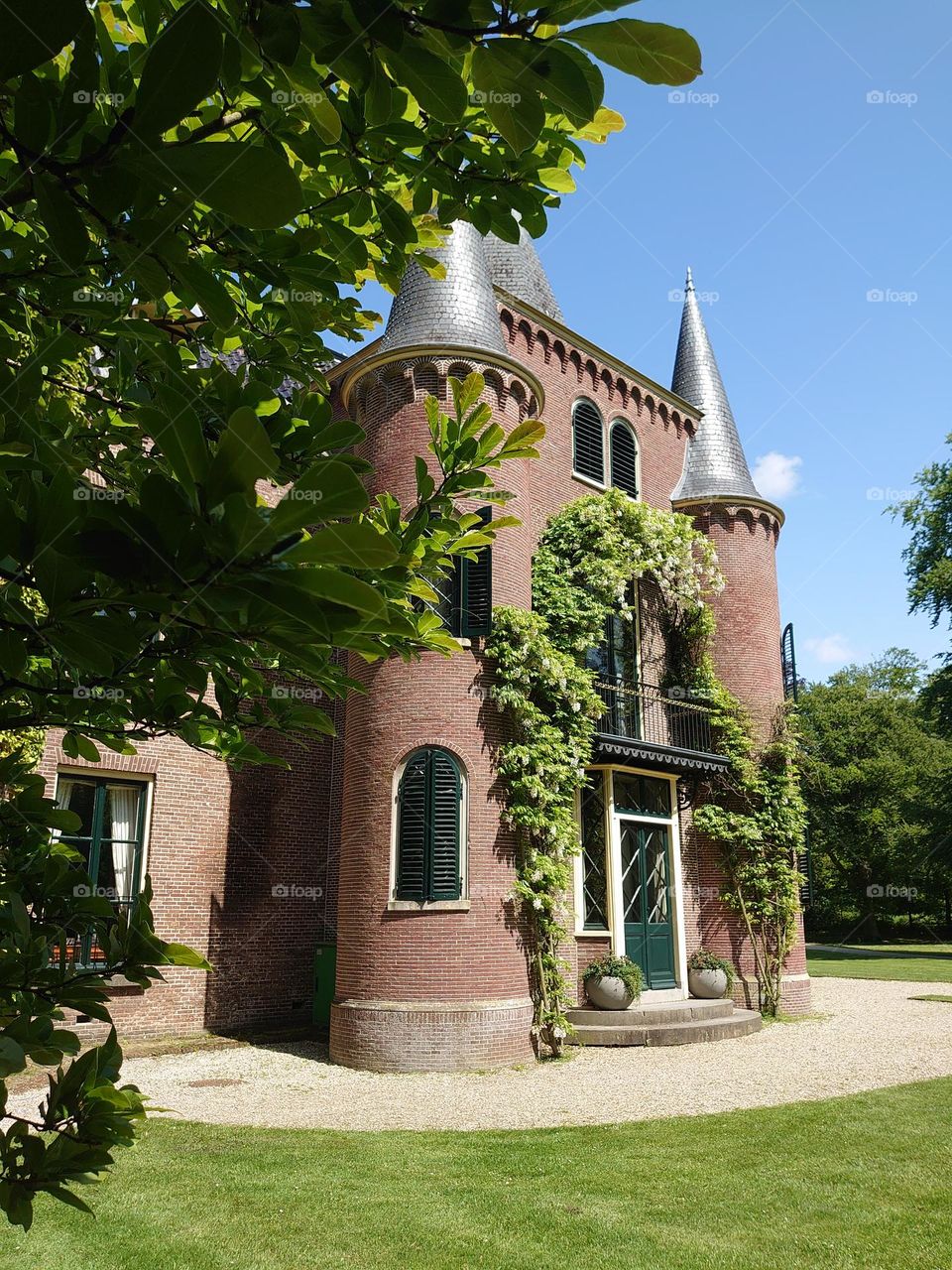 plants on castle