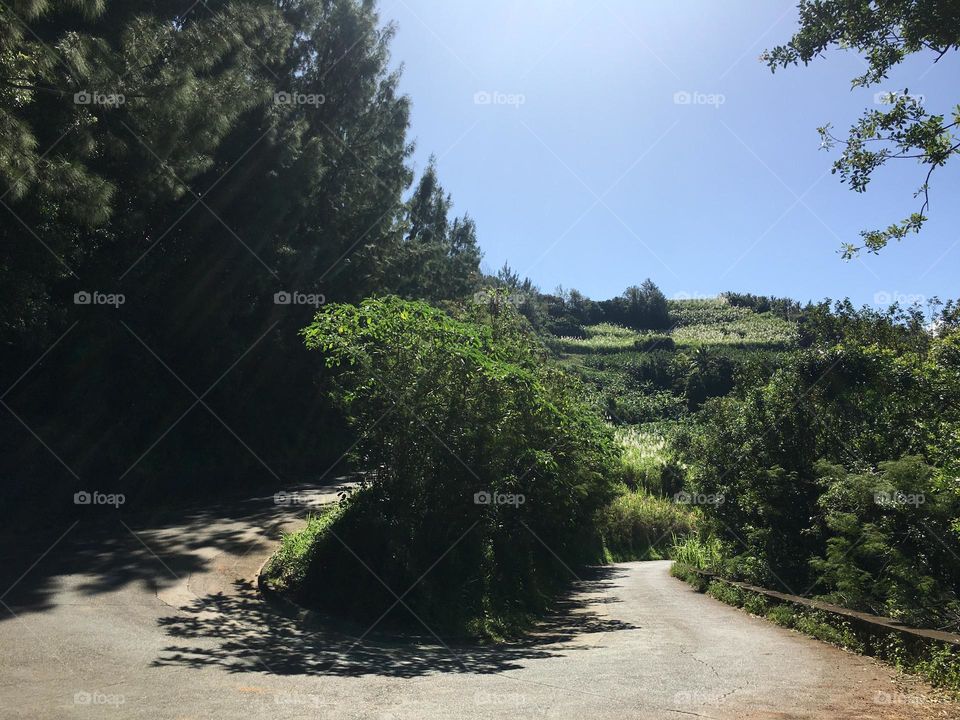 Hivers austral : eh oui ! Pas de neiges