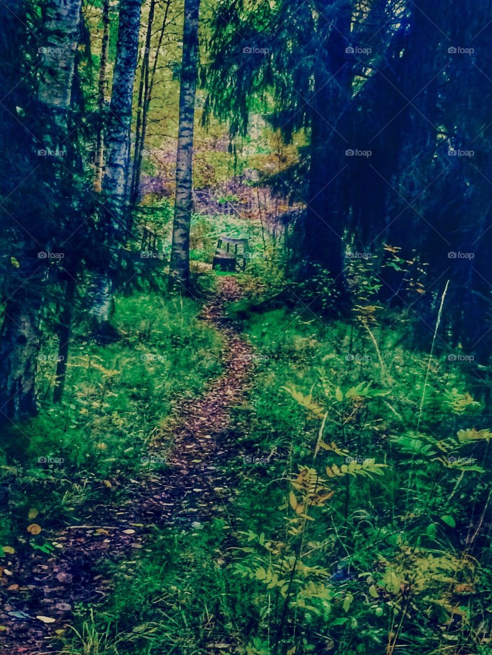 Light stream ranks Sweden