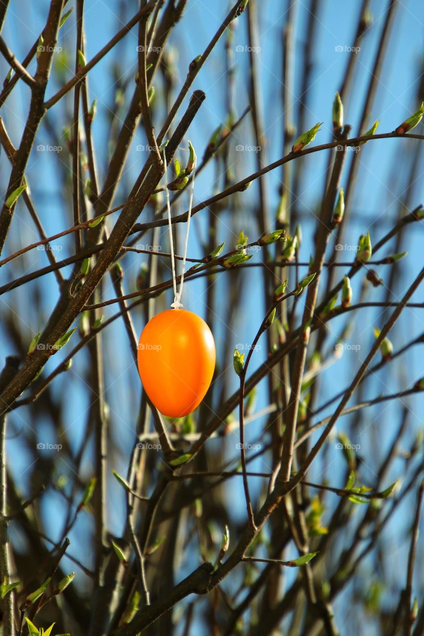Close up of a orange easter egg hanging in tree