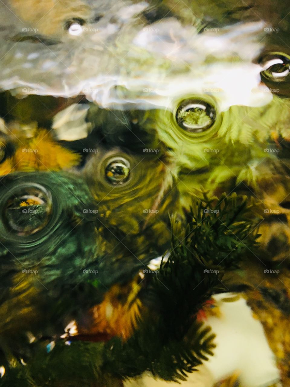 Beautiful combination water and bubbles 