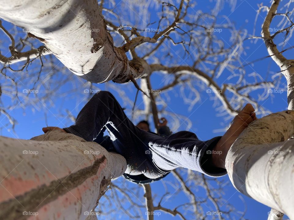 Climbing heights; men’s ambitions 