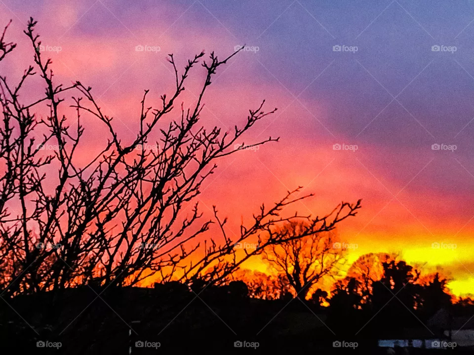 Winter sunset
