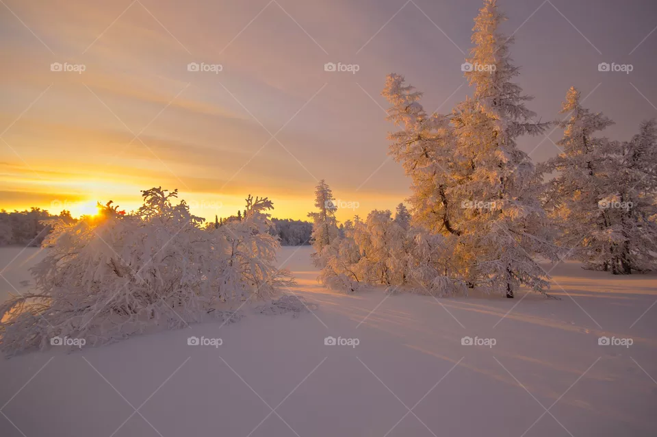 winter freezing
