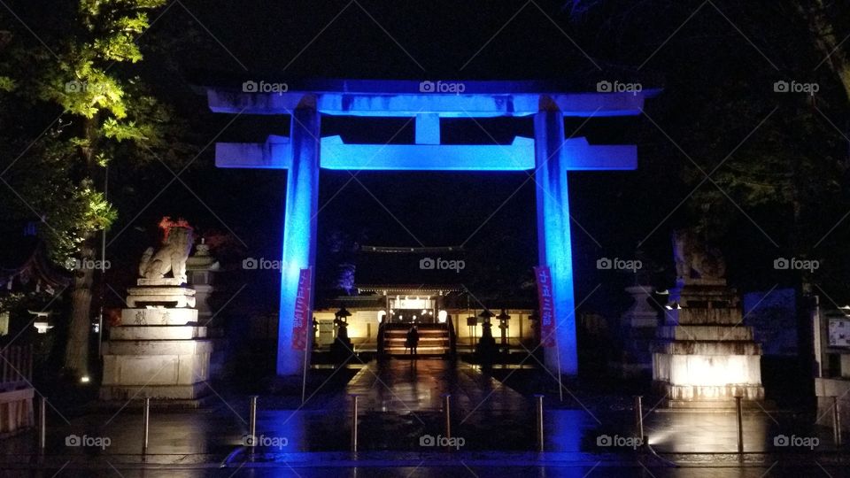 Portal do templo japonês Taga Taisha um dos mais lindos do Japão!
