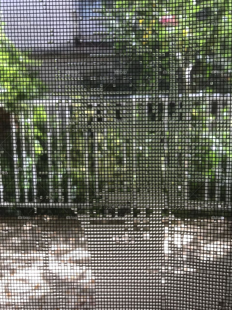 Raindrops entangled in a window net.