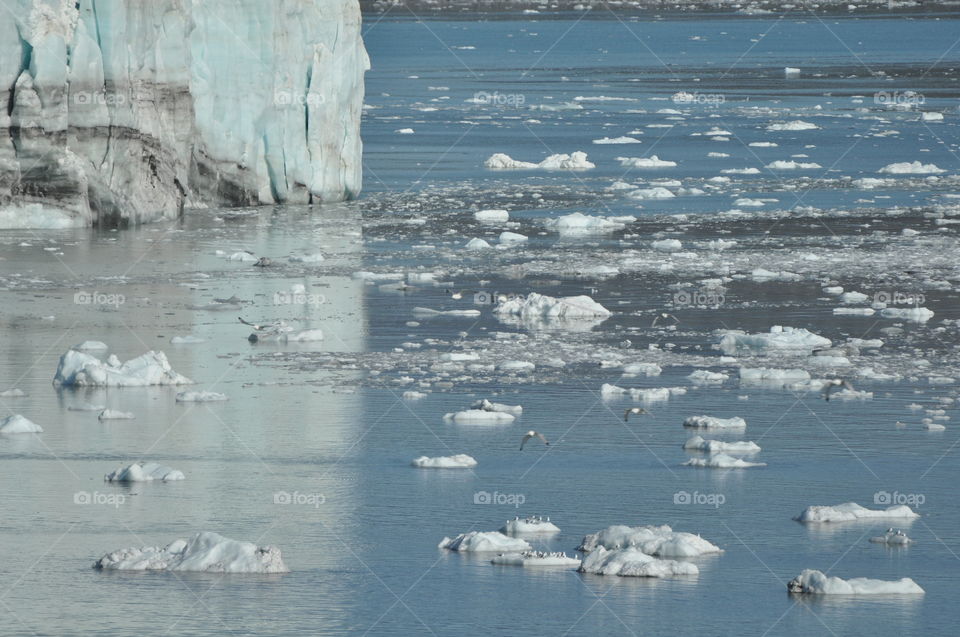 Melting glaciers