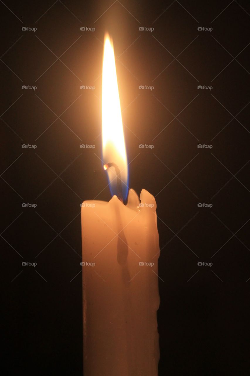 Editors' Choise: Photo of the Week