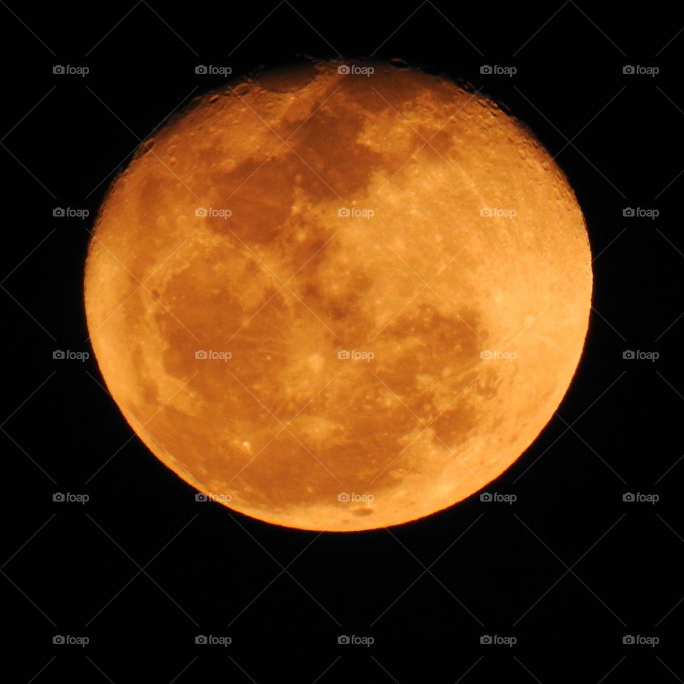Orange moon