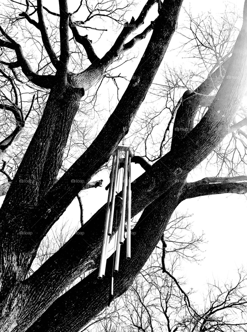 Gorgeous serene black and white photos taken while on walk around beach town area. 