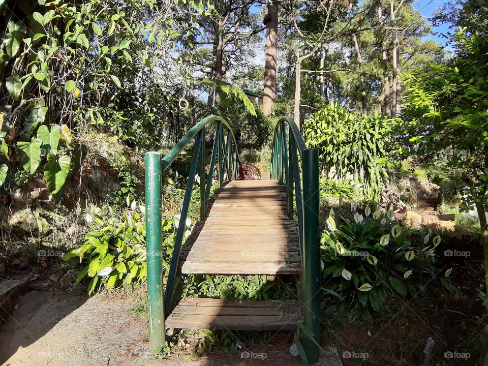 Mini bridge at the park