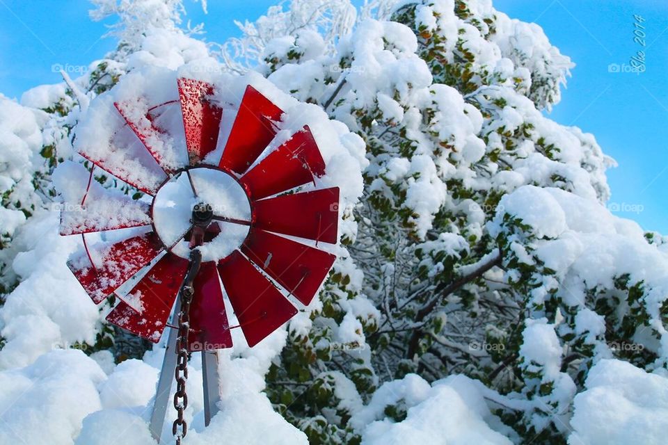 Windmill in snow 