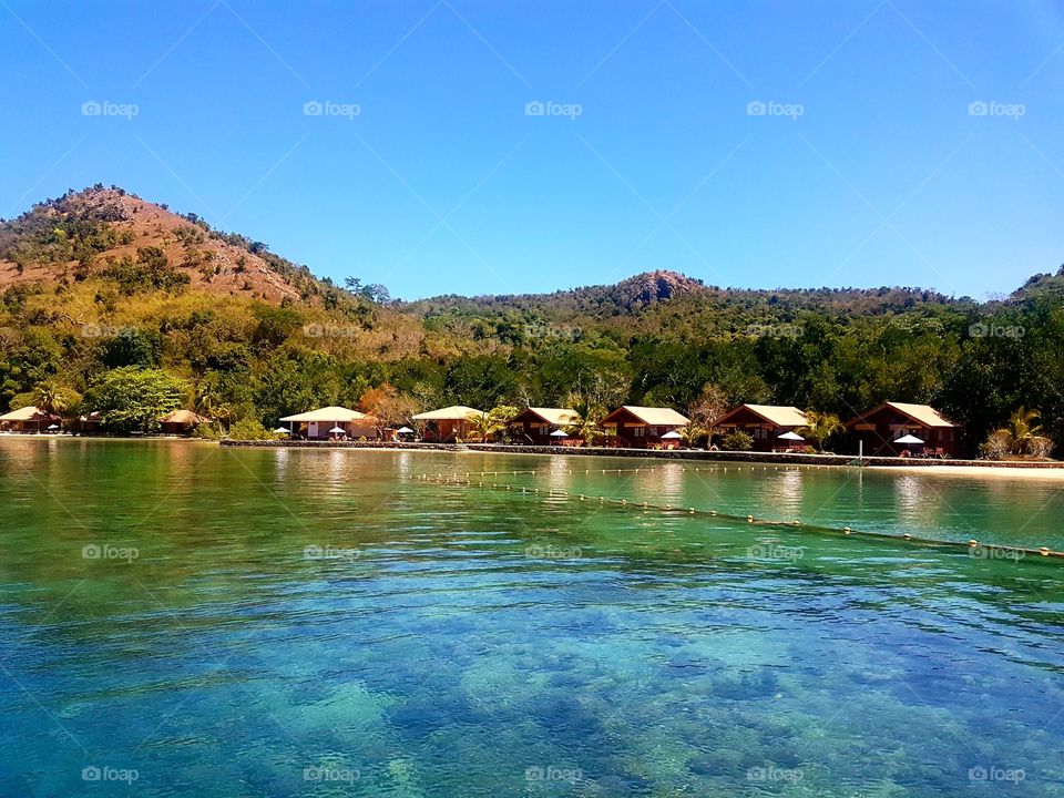 This is what life should be