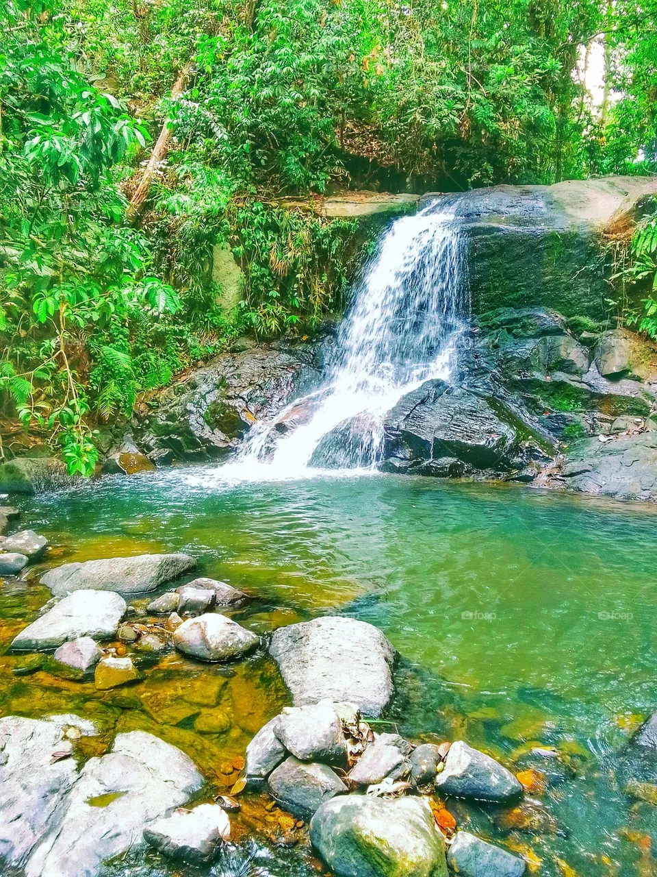 Nature..🍃