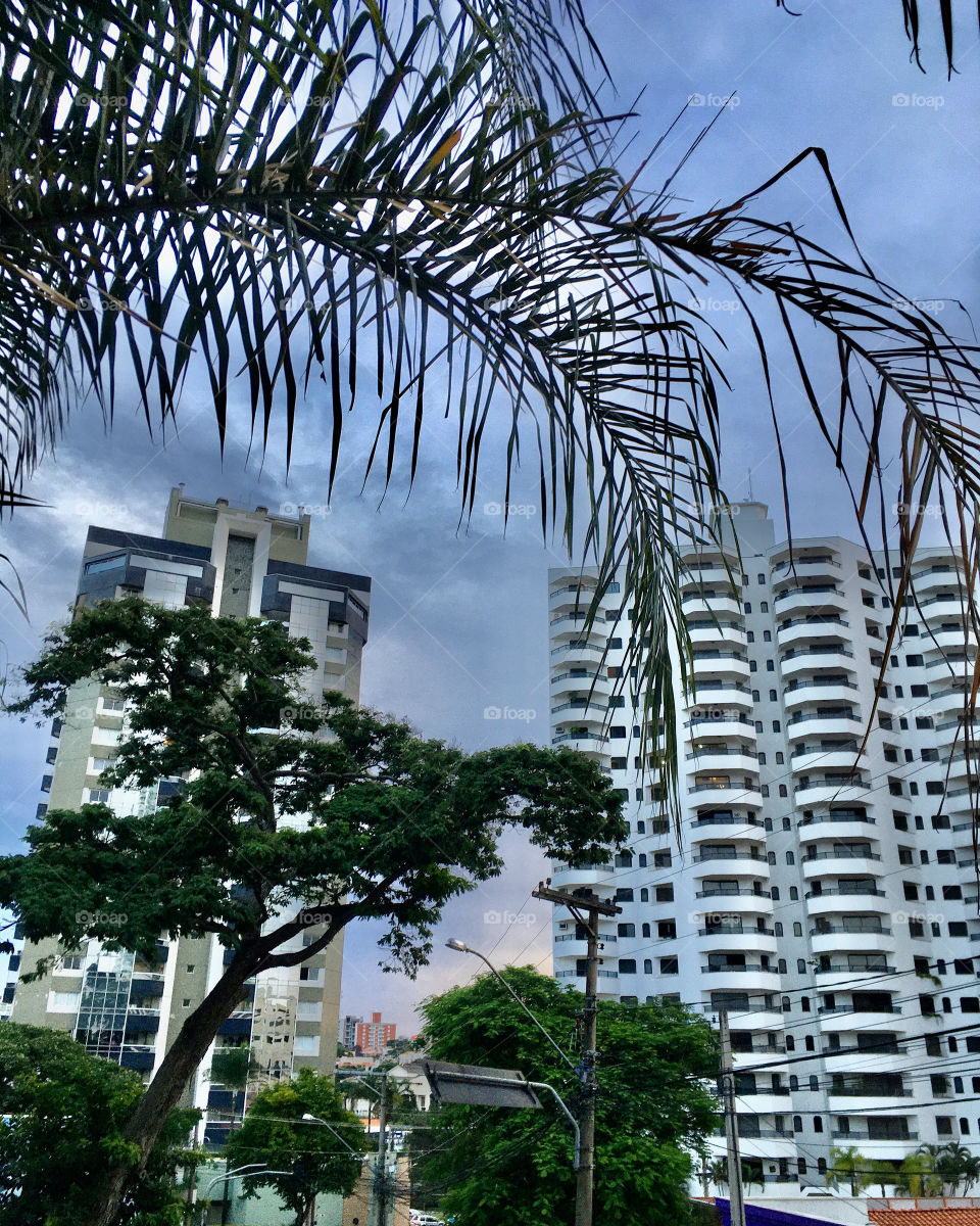 A beleza da cidade de Jundiaí, conciliando a natureza caipira e a grandeza da cidade grande. 