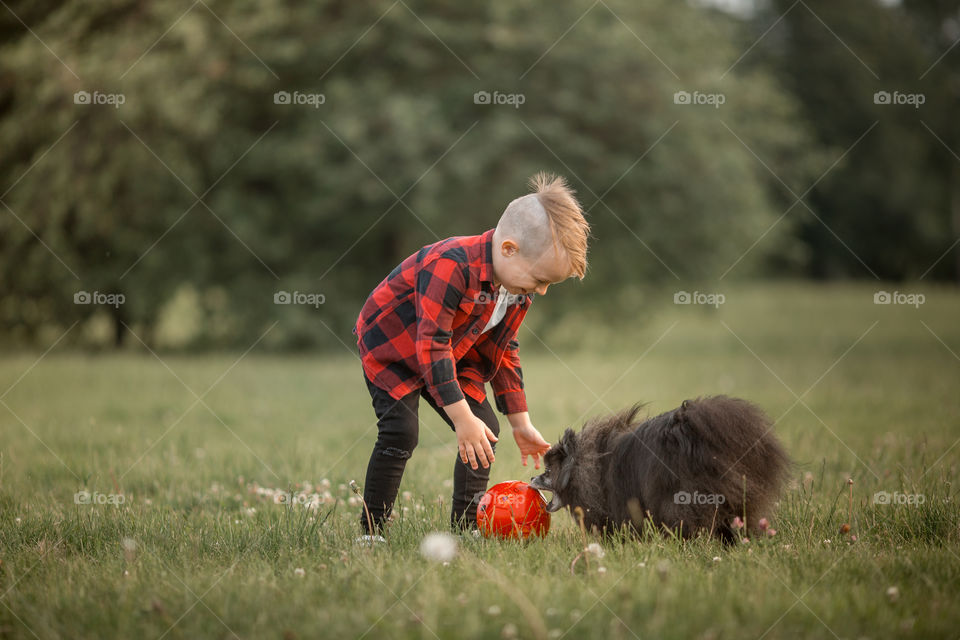 Little boy playing with his dog in soccer in a park 