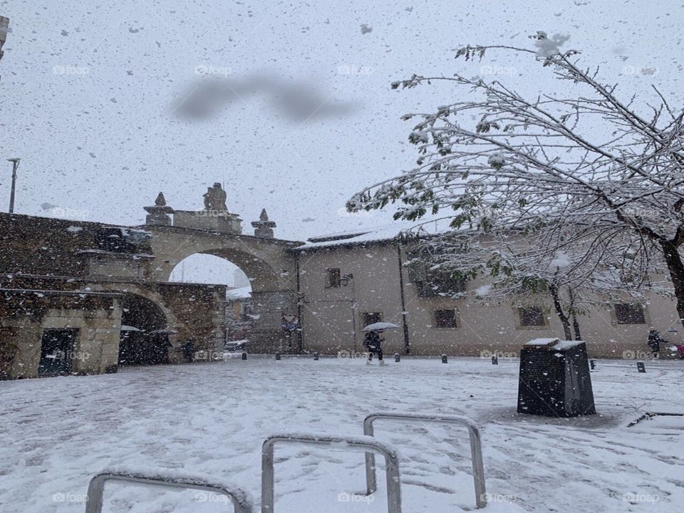 Beautiful background snow falling over Leon