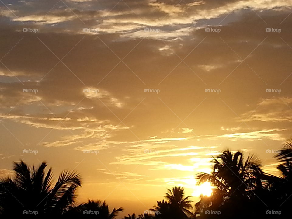 sun's sunset. sunset in my cam