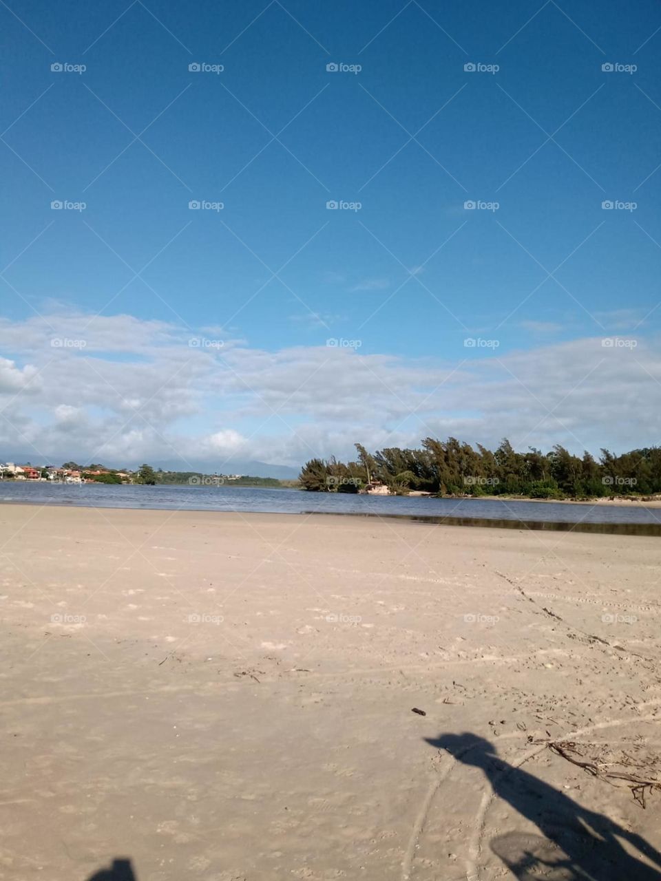 Meu quintal, minha vida!